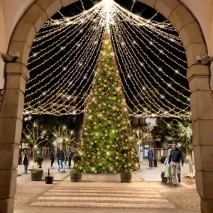 Árbol gigante de Navidad de 20m